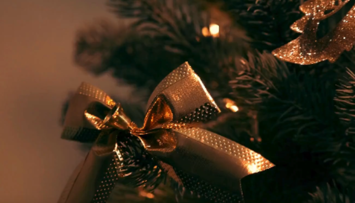 BOŽIĆNA I NOVOGODIŠNJA ČESTITKA