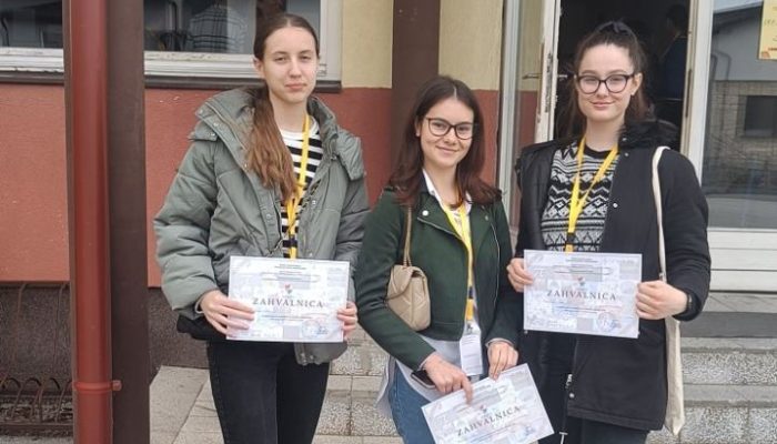 Županijsko natjecanje iz Hrvatskoga jezika za učenike srednjih škola