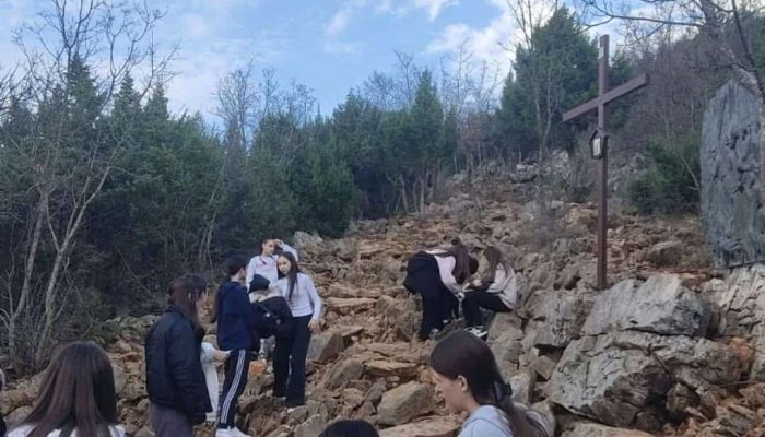 Seminar za 8. i 9. razred, „Kako zagrliti ježa?“