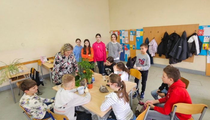 Uzgoj i razmnožavanje ukrasnih biljaka