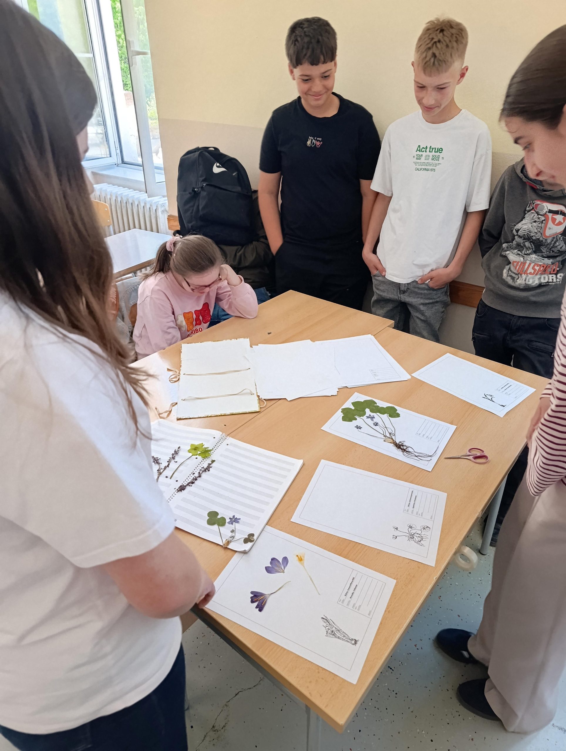 Prešanje biljaka – izrada herbarija